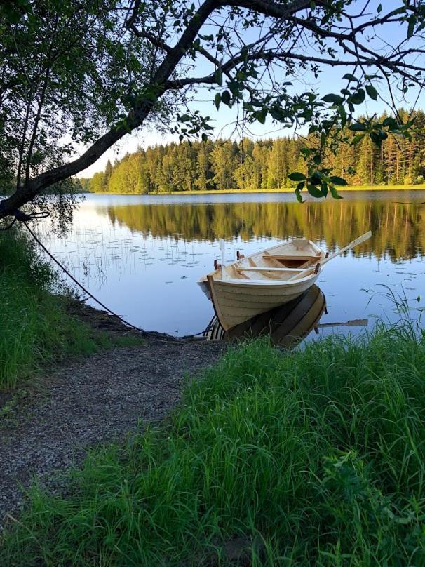 Tretopphytter Pa Grensen - Beverhytta Med Robat Og Gjeddefiske Галден Екстер'єр фото