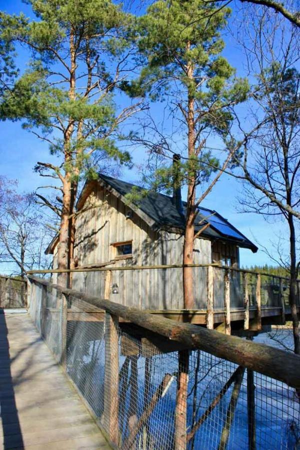 Tretopphytter Pa Grensen - Beverhytta Med Robat Og Gjeddefiske Галден Екстер'єр фото